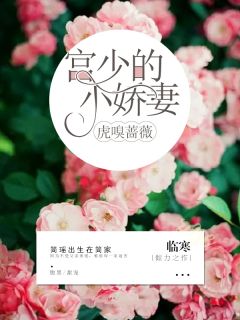 《虎嗅蔷薇：宫少的小娇妻》小说全文精彩阅读 简瑶宫尚小说阅读