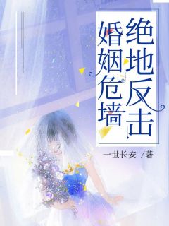 小说《婚姻危墙：绝地反击》苏叶顾易全文免费阅读