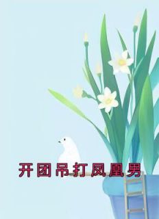 开团吊打凤凰男小说精彩章节免费试读（主角许安林晓）